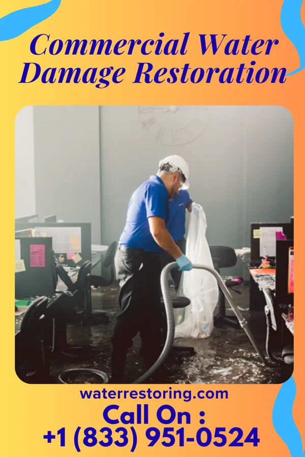 Commercial Water Damage Restoration in La Junta Gardens, CO